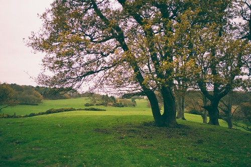 Country park