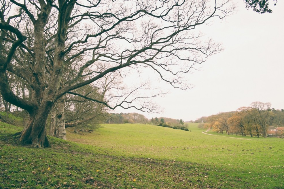 Country park